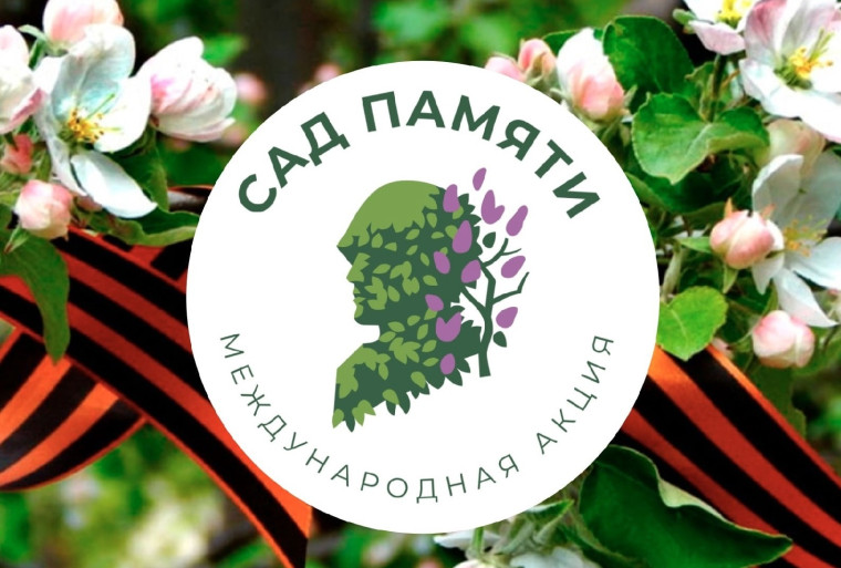 Объявление. Объявление.
